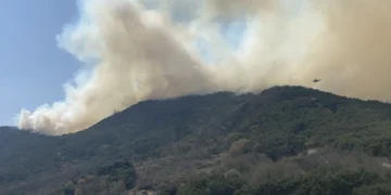 “10년 전 산불 피해 대출 아직 못 갚아”… 끝나지 않는 이재민의 삶