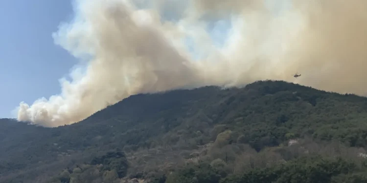 “10년 전 산불 피해 대출 아직 못 갚아”… 끝나지 않는 이재민의 삶