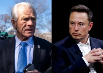 “車 조립업자” “진짜 멍청이”… 나바로 vs 머스크 ‘관세 내전’