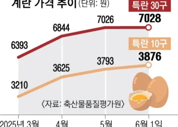 왜 오르는지 모르겠네… 한 판 7000원 돌파 ‘계란값 미스터리’