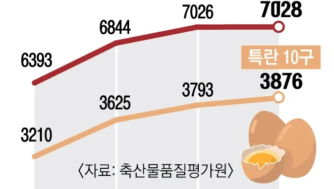 왜 오르는지 모르겠네… 한 판 7000원 돌파 ‘계란값 미스터리’