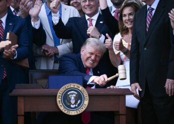 트럼프 맞서는 머스크 “아메리카당 창당… 내년 선거 후보 낼 것”
