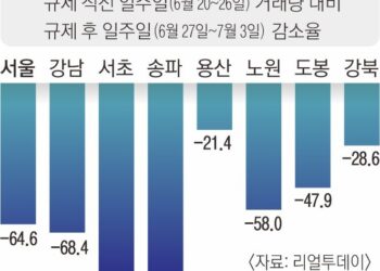 서울 아파트 거래 65% ‘뚝’… 모든 자치구 줄었다