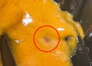 “벌레 미리 준비” 305번 환불받은 20대男…770만원어치 ‘꿀꺽’