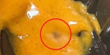 “벌레 미리 준비” 305번 환불받은 20대男…770만원어치 ‘꿀꺽’