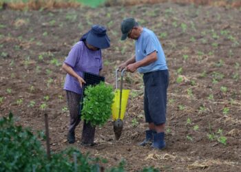 시간당 50㎜ ‘도깨비 폭우’ 주말까지… ‘침수 주의보’