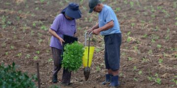 시간당 50㎜ ‘도깨비 폭우’ 주말까지… ‘침수 주의보’