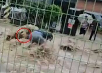 “차 떠내려와도 손 안 놨다”…물살 속 20분 버텨 노인 구한 시민 [포착]