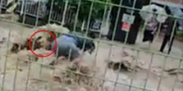 “차 떠내려와도 손 안 놨다”…물살 속 20분 버텨 노인 구한 시민 [포착]