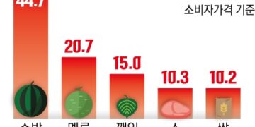 ‘서울 면적 절반’ 농경지 피해… 밥상 물가 후폭풍 우려