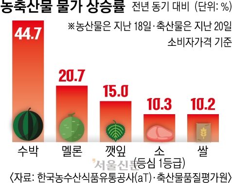 ‘서울 면적 절반’ 농경지 피해… 밥상 물가 후폭풍 우려