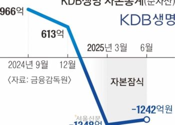 [단독] 2분기 연속 자본잠식 빠진 KDB생명, 쇄신은커녕… 이번엔 홋카이도 외유