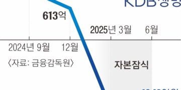 [단독] 2분기 연속 자본잠식 빠진 KDB생명, 쇄신은커녕… 이번엔 홋카이도 외유