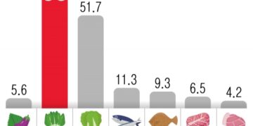 시금치 172%·배추 52% 폭등… 농수산 물가 2년 만에 최대폭 올라