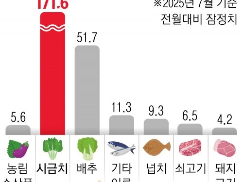 시금치 172%·배추 52% 폭등… 농수산 물가 2년 만에 최대폭 올라