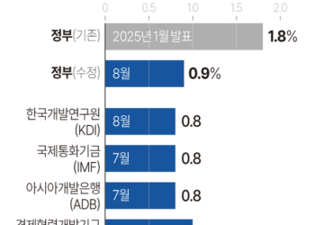 추경 편성·소비쿠폰 지급에도… 올해 경제성장률 0.9% 전망
