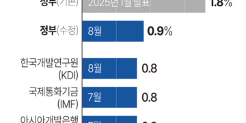 추경 편성·소비쿠폰 지급에도… 올해 경제성장률 0.9% 전망