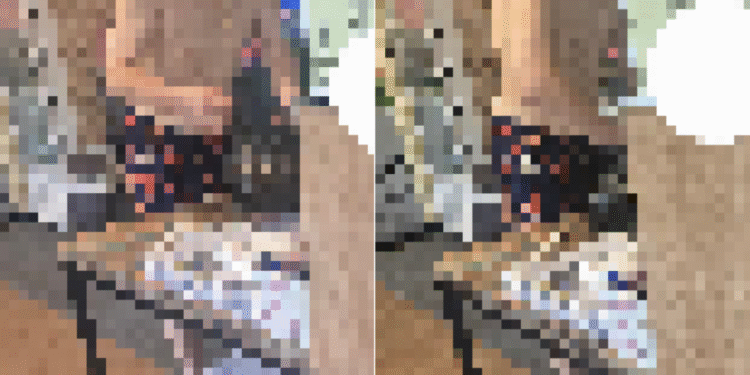 “보고도 못 믿겠다” 상의 탈의 짬뽕 포장 ‘충격 목격담’