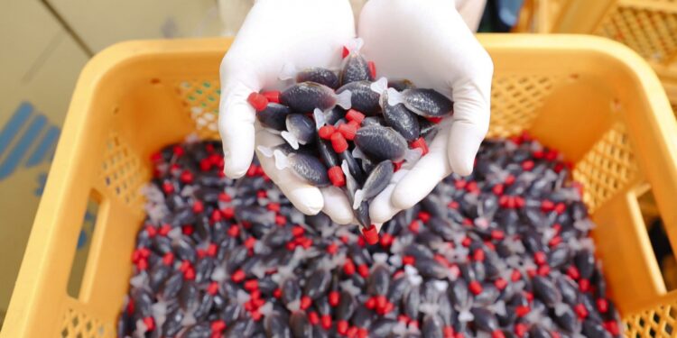 초밥에 딸려오던 ‘물고기 간장’ 편했는데…“위험” 지적 나온 이유