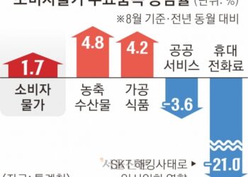 8월 물가 상승률 1.7%로 둔화… SKT 요금 할인이 끌어내렸다