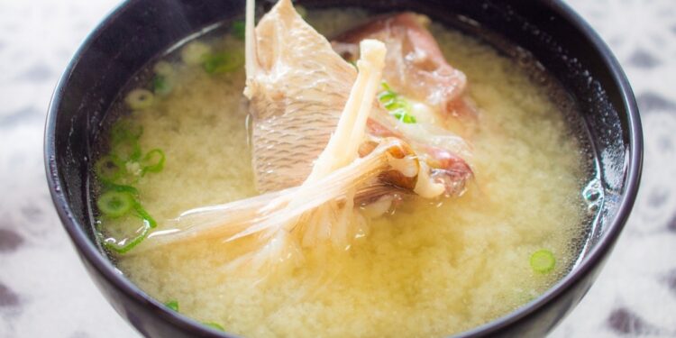 “코골이 못 참아”…음식에 독초 넣어 삼촌 살해 시도한 10대, 日 ‘발칵’