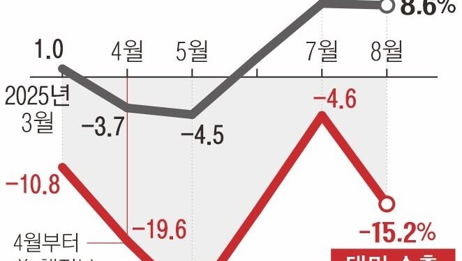 관세로 대미 수출 15% 줄었지만… 8월 자동차 수출 ‘역대 최대’