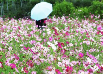 주말부터 ‘진짜 가을’…토요일 오전까지 전국 곳곳 비