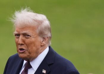 WHO “트럼프의 ‘타이레놀’ 자폐 주장, 연관성 없다”