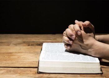 “헌금 5억 빼돌려 코인으로 날려” 고해성사한 성당 사무장 [사회뉴스 테이크아웃]