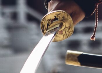 대낮 길거리서 ‘1m’ 칼 넣었다 뺐다…60대 현행범 체포