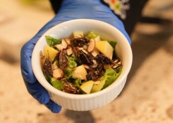 “다 잡아먹더라” 중국인들에 당한 서울·도쿄…늦은 밤 몰래 무슨 짓?