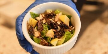 “다 잡아먹더라” 중국인들에 당한 서울·도쿄…늦은 밤 몰래 무슨 짓?