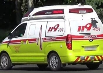 해남 횟집서 ‘이것’ 나눠먹은 주민 8명 병원행…“절대 섭취 안돼”