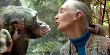 자연 사랑했던 ‘침팬지의 어머니’ | 서울신문