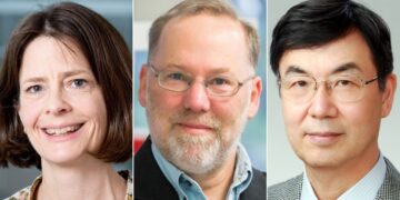 노벨생리의학상, 자가 면역질환 막는 ‘조절 T세포’ 발견자 품에