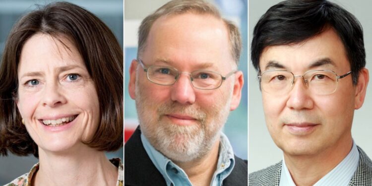 노벨생리의학상, 자가 면역질환 막는 ‘조절 T세포’ 발견자 품에