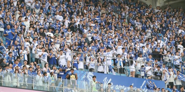 프로야구 1200만 관중 시대 어두운 그림자 ‘티켓 사기’…대구경찰, 주의보 발령