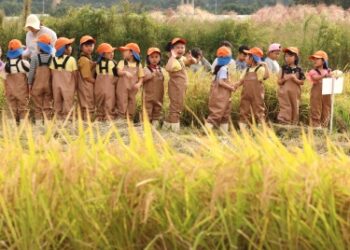 [단독] 연구는 밭, 적용은 논…‘친환경비료 정책’ 엇박자