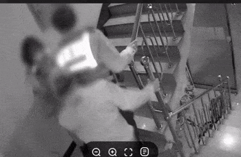 “내가 흉기에 찔렸어야 했나” 女경찰의 항변, 그날 그 현장에서 국민들에게 공권력은 부재했다 [듣는 그날의 사건현장 – 전국부 사건창고]