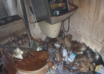 “꽁초 천지” 집에서 담배 피우다 결국 불…고양이도 실려가