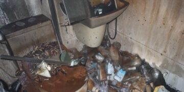 “꽁초 천지” 집에서 담배 피우다 결국 불…고양이도 실려가