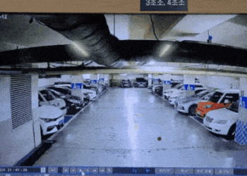 [속보] 아파트 주차장서 중소기업 대표 납치·살해 시도…30대 구속기소