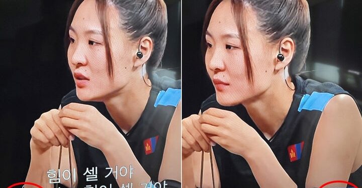 넷플릭스, 김치 ‘파오차이’ 아닌 ‘신치’로 표기…“환영할 일”