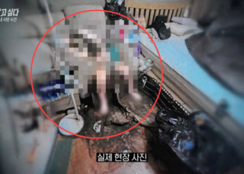 “산 사람이 썩었다” 구더기 사망 부사관 아내…폭행 피해 정황
