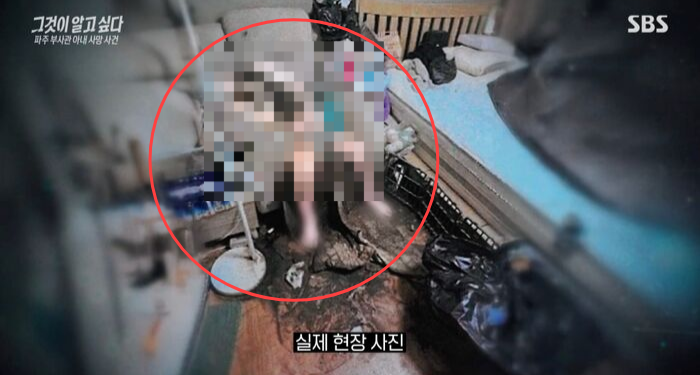 “산 사람이 썩었다” 구더기 사망 부사관 아내…폭행 피해 정황