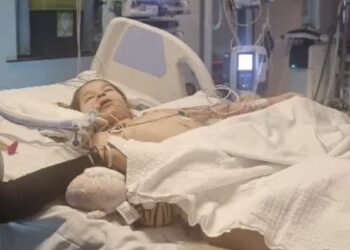 “독감 예방접종 안 했나요?” 뼈저린 후회…4살 딸, 뇌 손상 “영구 장애” 가능성