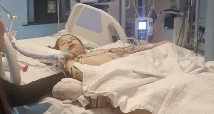 “독감 예방접종 안 했나요?” 뼈저린 후회…4살 딸, 뇌 손상 “영구 장애” 가능성