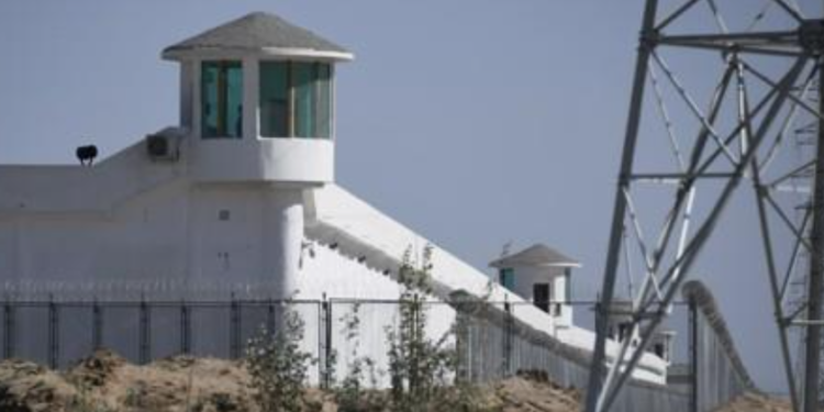 “밤마다 집단 성폭행에 강제 낙태까지”…영상 폭로한 중국인 ‘충격 근황’