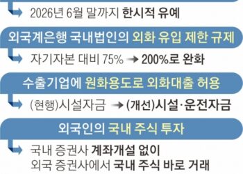 유동성 감독 늦추고, 외국인 빗장 풀고… ‘달러 유입’ 총력전