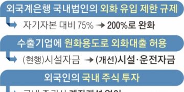 유동성 감독 늦추고, 외국인 빗장 풀고… ‘달러 유입’ 총력전